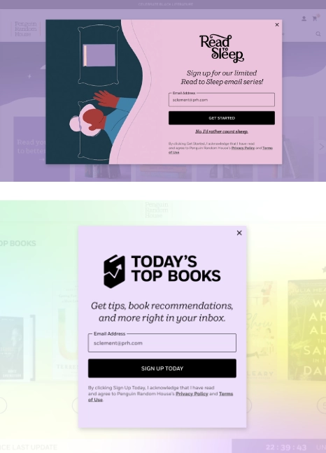 Newsletter subscription pop-up design